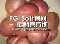 产品展示标题1