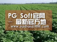 种植基地五(图1)