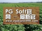 种植基地五