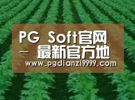 种植基地六(图1)