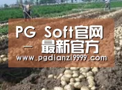 种植基地八