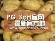 产品展示标题6
