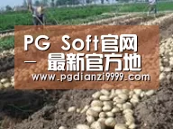 种植基地七(图1)