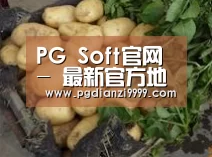 产品展示标题4
